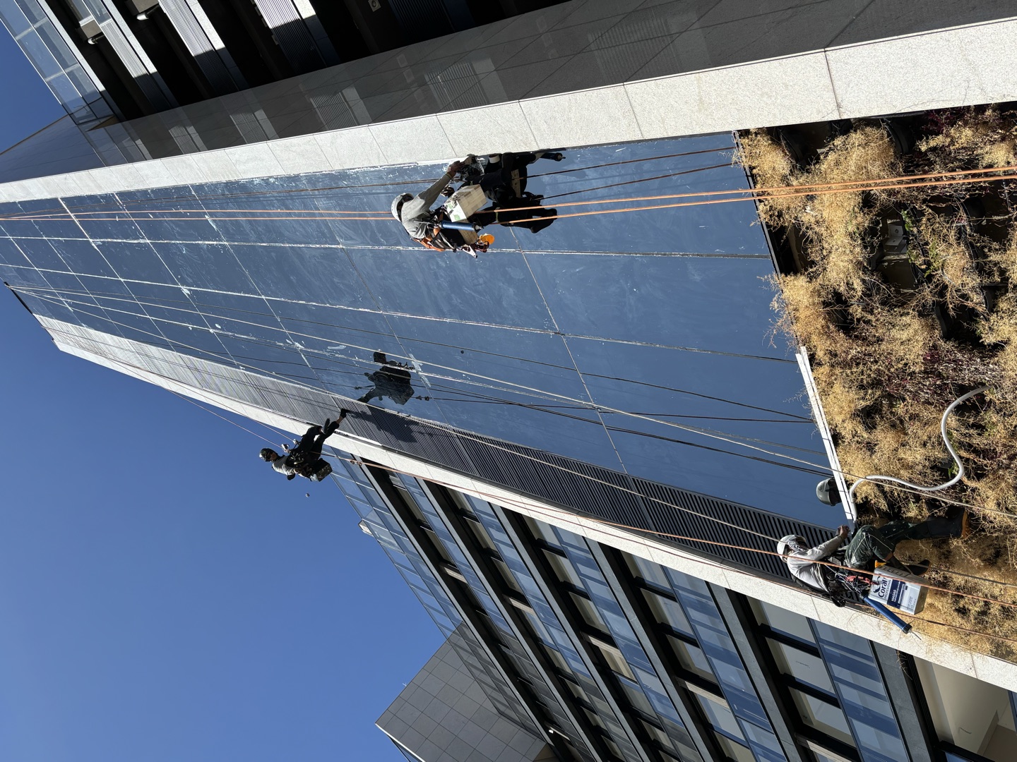 Três alpinistas industriais em rapel na fachada espelhada de um edifício alto em Brasília, vistos de baixo contra o céu azul
